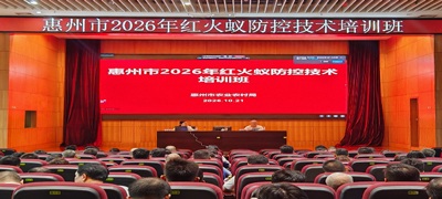 惠州抢抓秋季窗口期开展红火蚁防控技术培训